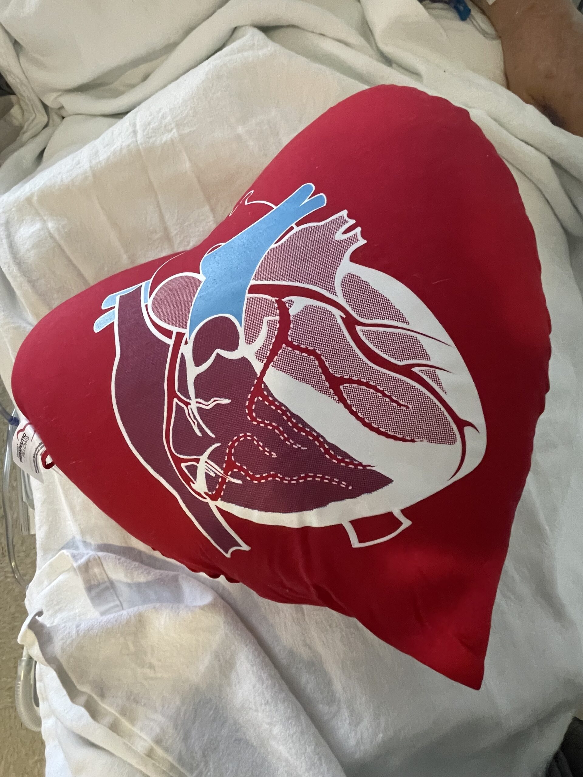 Heart-shaped pillow given to cardiac patients at AdventHealth Caption: